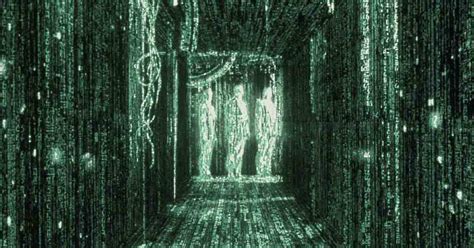 Live Simulation 的图像结果