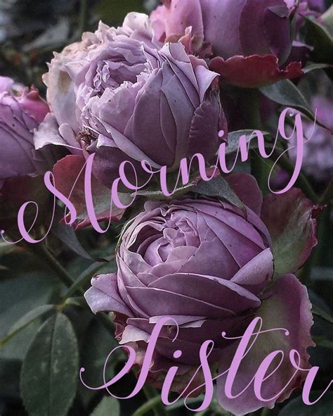 Good Morning Sister Flowers