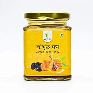 Saguna Baug Natural Jamun Plum Nectar Raw Honey - 250gm | Unprocessed ...