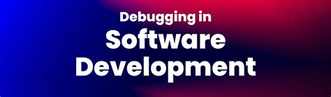 Debugger Software 的图像结果