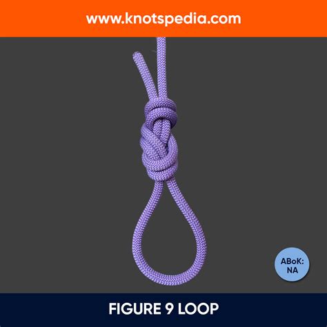 How to Tie the Figure 9 Loop Knot | Knotspedia