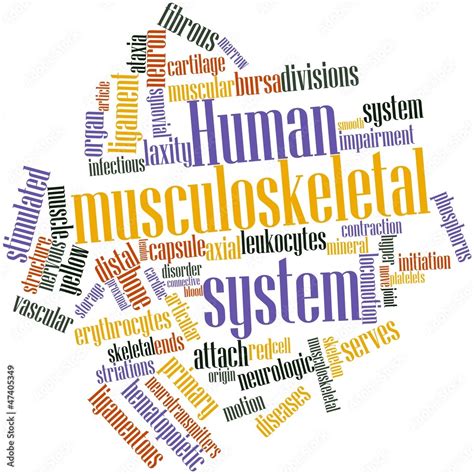 Image result for Musculoskeletal System Word