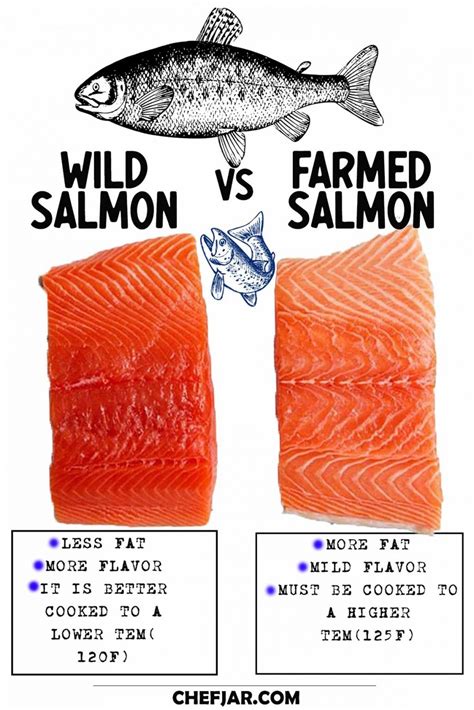 What Temperature To Cook Salmon? – The Ultimate Guide - Chefjar