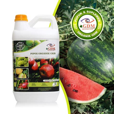 Best Organic Fertilizer