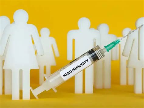 herd immunity: Herd immunity against Covid-19 was sold as the path out ...