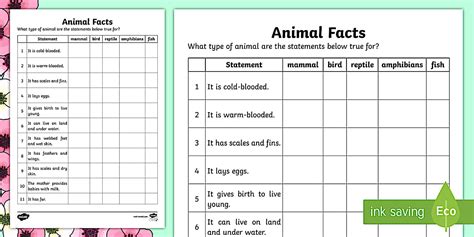 Animal Facts Classification Activity (teacher made) - Twinkl