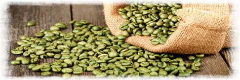 Café en Hacienda El Triunfo S.A. / Solcolibrí Coffee de Costa Rica ...