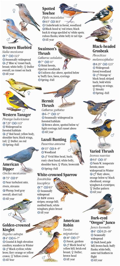 Birds of Oregon – Quick Reference Publishing Retail