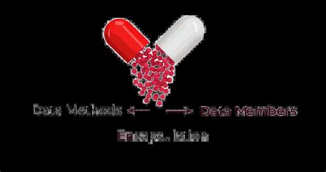 Encapsulation Java Definition 的图像结果