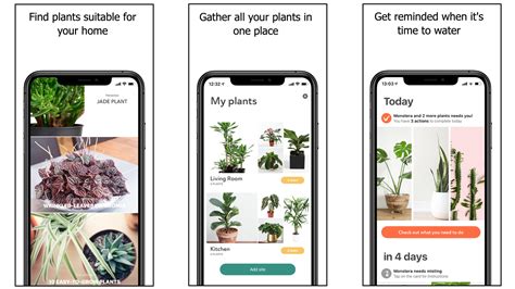 Plant application