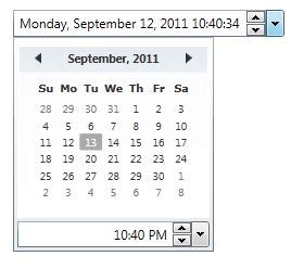 DateTimePicker WPF Visual Studio 的图像结果