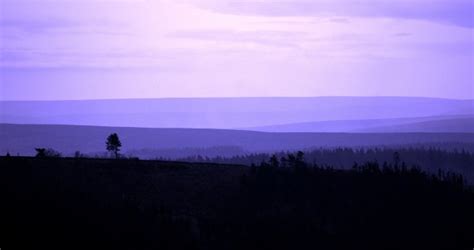 View Elmo to Computer 的图像结果