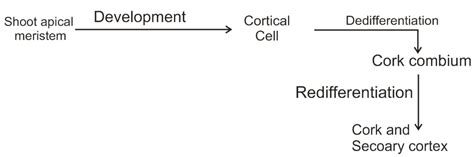 Development is considered as the sum of - Tardigrade