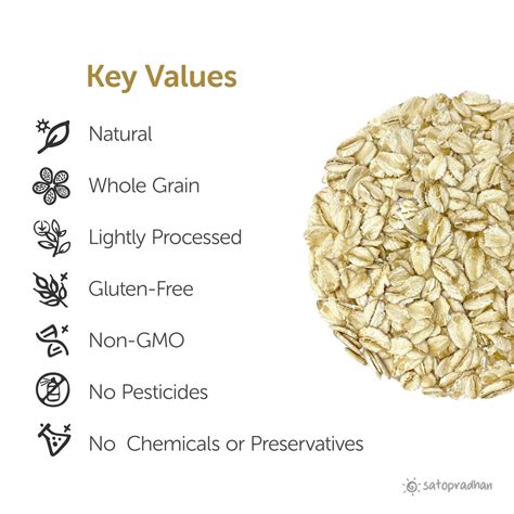 Best Organic Old Fashioned Rolled Oats India | Satopradhan