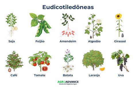 Image result for How to Open a HTML File