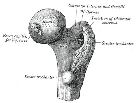 Image result for Computer Project Model Unique
