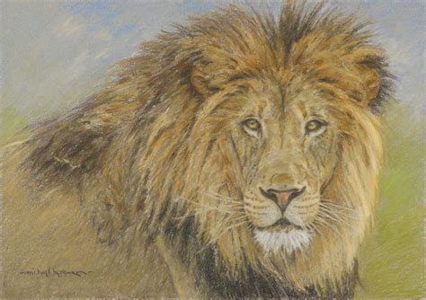 African Lion Reproduction Art 的图像结果