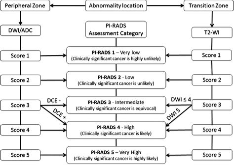 Pi-Rads Klassifikation: Was Bedeuten Pi-Rads 3, 4 Oder 5? – TFRTNX