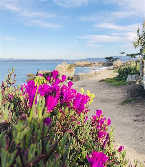 Lovers Point: Legendary Park in Pacific Grove – Monterey Farmgirl