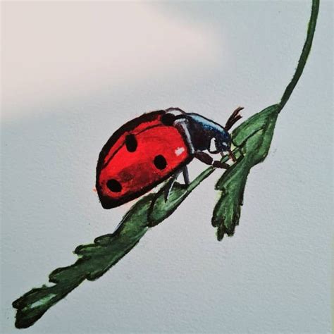 Image result for Paint Tutorial Ladybug