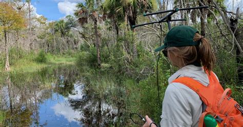 Image result for Python Muffler or a Python Trap