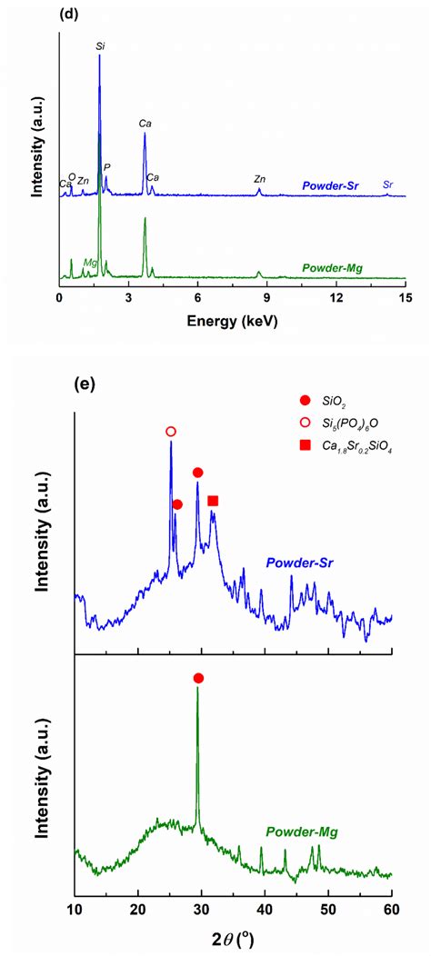 Composite Fiber Networks Based on Polycaprolactone and Bioactive Glass ...