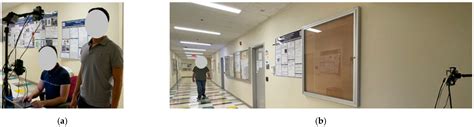 Dual-Biometric Human Identification Using Radar Deep Transfer Learning