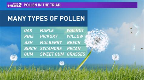 How long does pollen season last in North Carolina? | wfmynews2.com