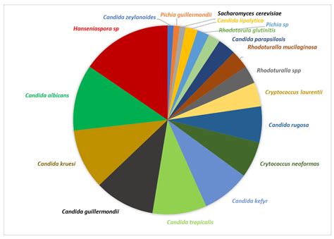 Metataxonomic Identification of Microorganisms during the Coffee ...