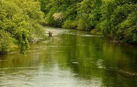 Image result for River Table Project