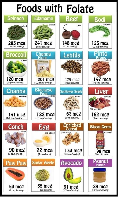 Image result for Folate Food Sources