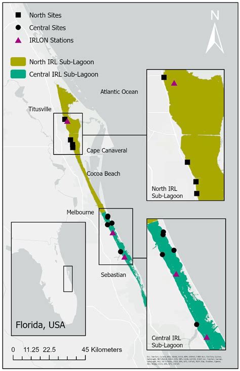 Challenges to Seagrass Restoration in the Indian River Lagoon, Florida