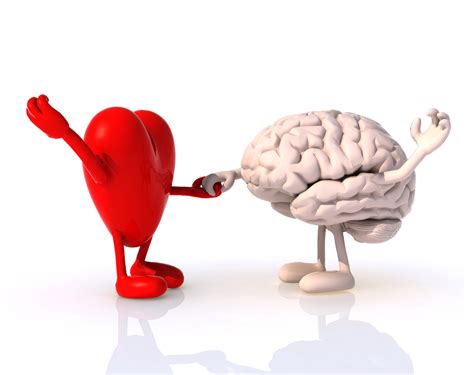 Image result for Heart Brain Connection
