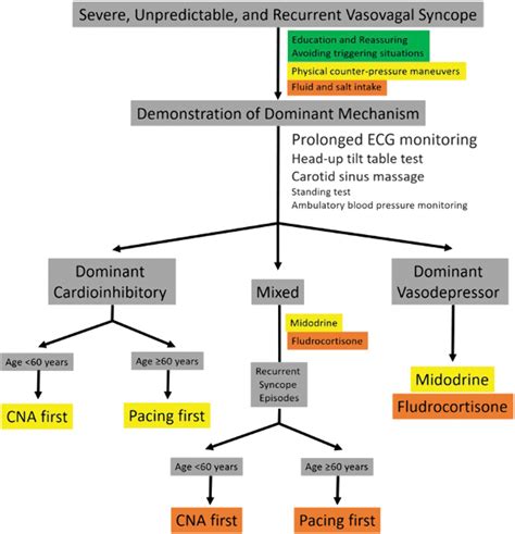 Cardioneuroablation for Cardioinhibitory Vasovagal Syncope: Rationale ...
