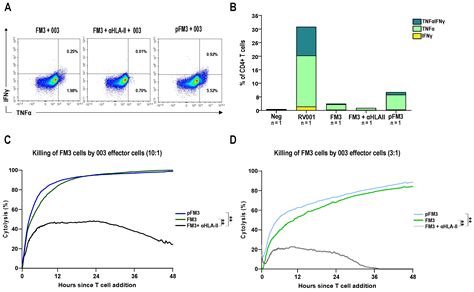 Vaccination Against RhoC in Prostate Cancer Patients Induces Potent and ...