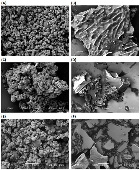 Microencapsulation of Olive Oil by Dehydration of Emulsion: Effects of ...