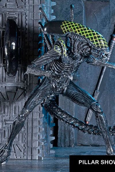 Image result for Alien vs Predator Pyramid