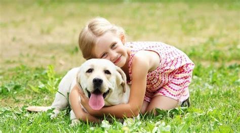 养宠物的要小心了，女孩与狗太过亲密致眼睛失明