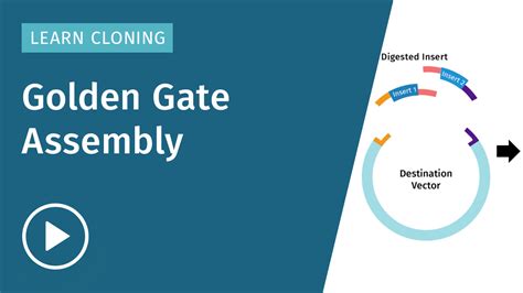 Cloning Method 的图像结果