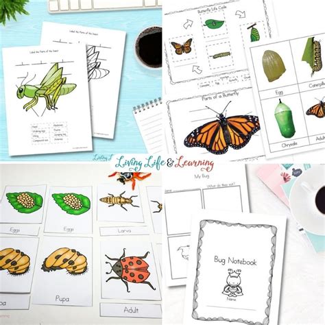 Fun Learning Pages Science for Kids 的图像结果