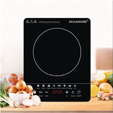 Buy EULANGDE 110V Portable Induction Cooktop 120-2200 ten gear fire ...