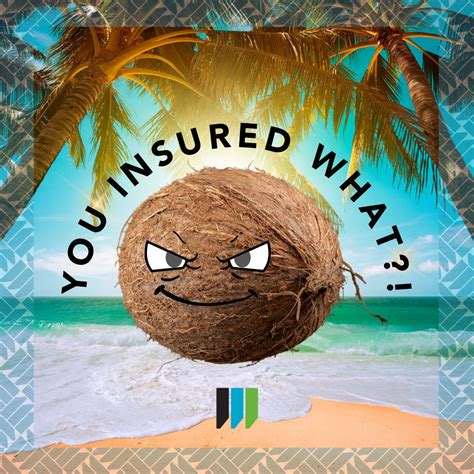 Are you nuts?! You insured what?! COCONUTS!!?? Falling coconuts kill an average of 150 people a ...
