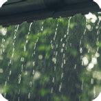 Increase Your Immunity with These Rainy Season Foods