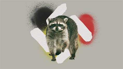 Germansplaining: Beware the 'Nazi raccoons' - The New European