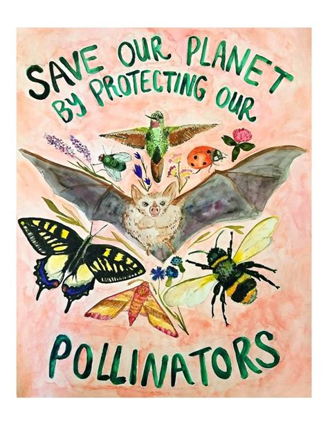 Image result for Insect Pollination Poster