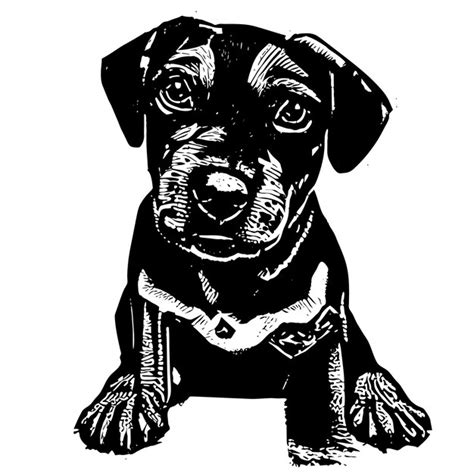 Schattige shiba inu hond hand getekende cartoon sticker pictogram ...