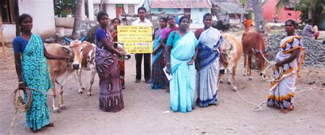 rural womens development society - RWDS