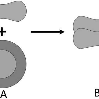Advanced Two by Two Method 的图像结果