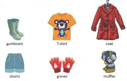 Clothes We Wear Worksheet - Class 1 EVS - FREE DOWNLOAD