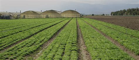 The Coimbatore District Central Cooperative (CDCC) Bank LTD, Tamil Nadu